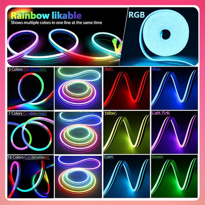 Neon Premium LED Strip Lights RGBIC can do everything !